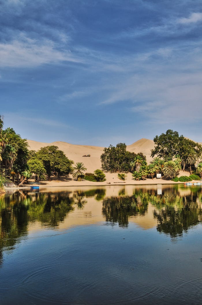 Stunning reflection of the oasis in Huacachina, Peru with sand dunes and palm trees under a vibrant sky.